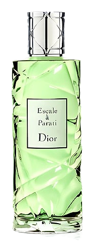 Cruise Collection Escale A Parati by Dior