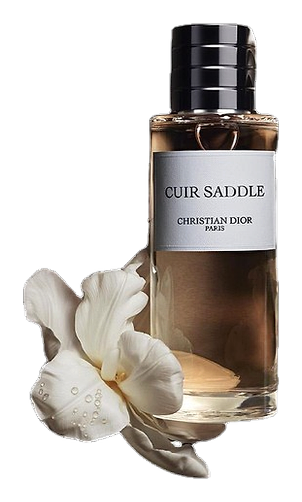 Cuir Saddle by Dior