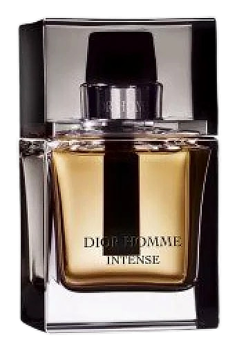Homme Intense by Dior