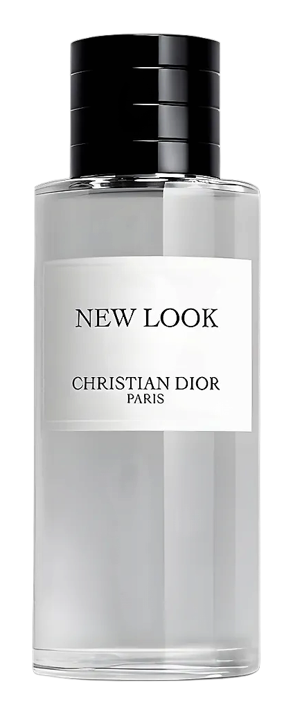 New Look 2024 by Dior