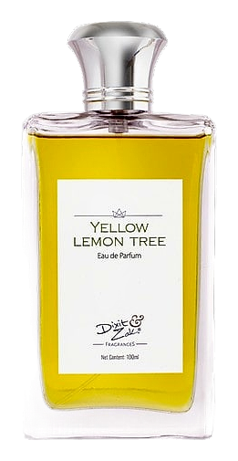 Yellow Lemon Tree by Dixit & Zak