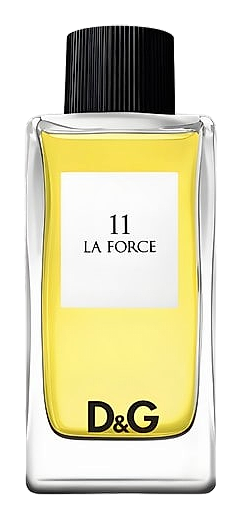 D&G Anthology La Force 11 by Dolce&Gabbana