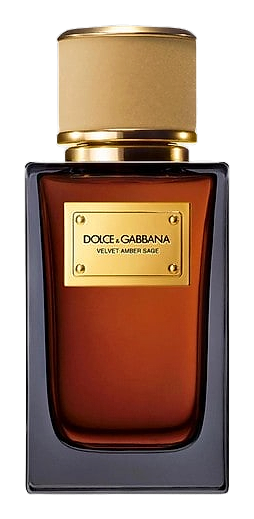 Velvet Amber Sage by Dolce&Gabbana
