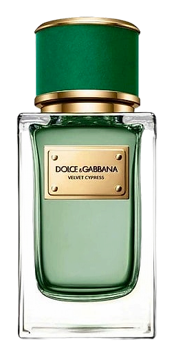Velvet Cypress by Dolce&Gabbana