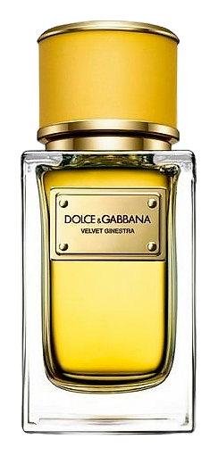 Velvet Ginestra by Dolce&Gabbana – Eau de Toilette