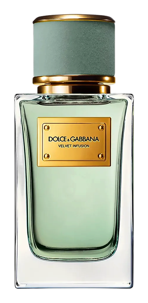 Velvet Infusion by Dolce&Gabbana