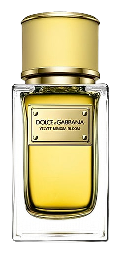 Velvet Mimosa Bloom by Dolce&Gabbana