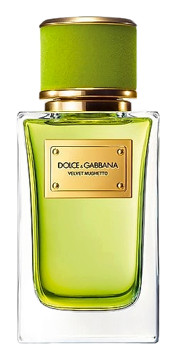 Velvet Mughetto by Dolce&Gabbana