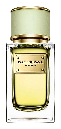 Velvet Pure by Dolce&Gabbana