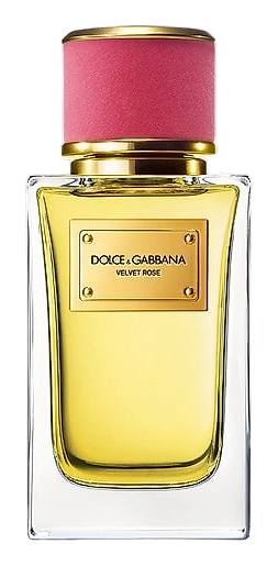 Velvet Rose by Dolce&Gabbana
