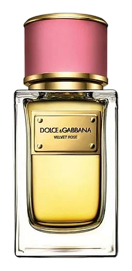 Velvet Rose by Dolce & Gabbana