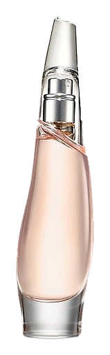 Liquid Cashmere Blush by Donna Karan