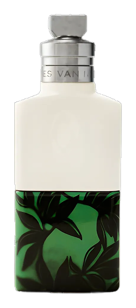 Santal Greenery by Dries Van Noten