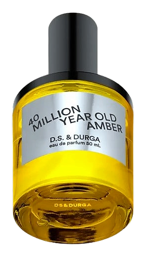 40 Million Year Old Amber by DS&Durga