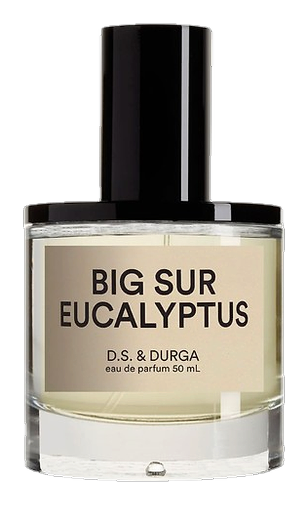 Big Sur Eucalyptus by DS&Durga