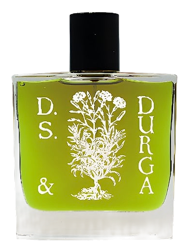 Boston Ivy by DS&Durga