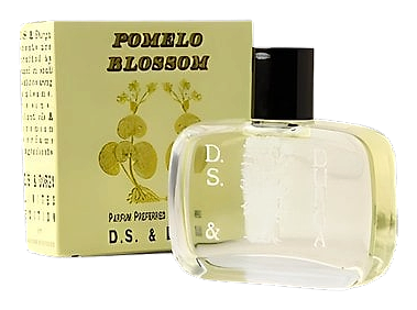 Pomelo Blossom by DS&Durga