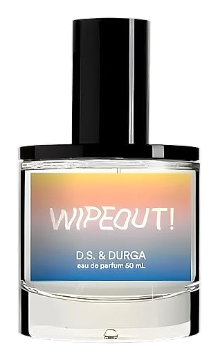 Wipeout! by DS&Durga