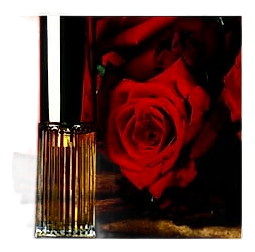 Poivre by DSH Perfumes