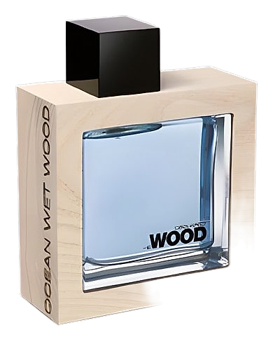 He Wood Ocean Wet Wood by Dsquared²