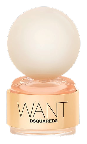 Want by Dsquared²
