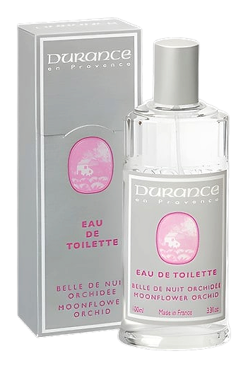 Moonflower Orchid by Durance en Provence