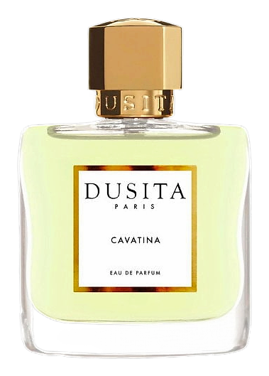 Cavatina by Dusita