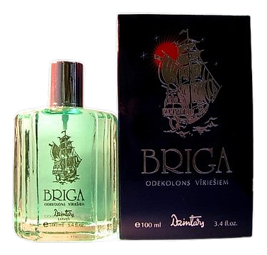 Briga by Dzintars