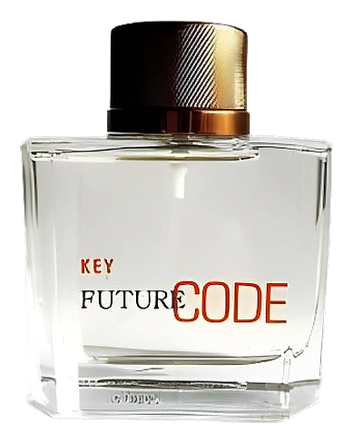 Future Code Key by Dzintars