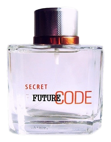 Future Code Secret by Dzintars
