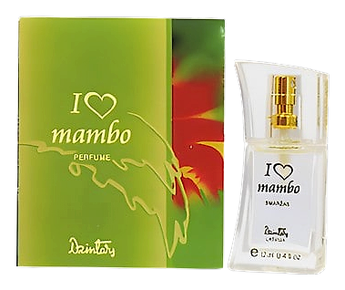 I Love Mambo by Dzintars