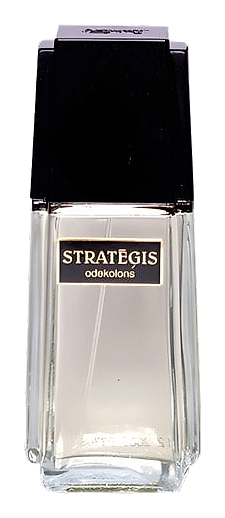 Dzintars Strategis