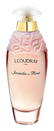 Jacinthe Et Rose by E. Coudray