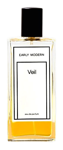 Early Modern Veil