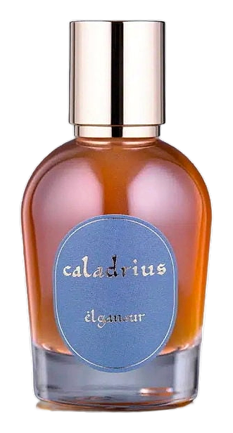 Caladrius by Elganaur