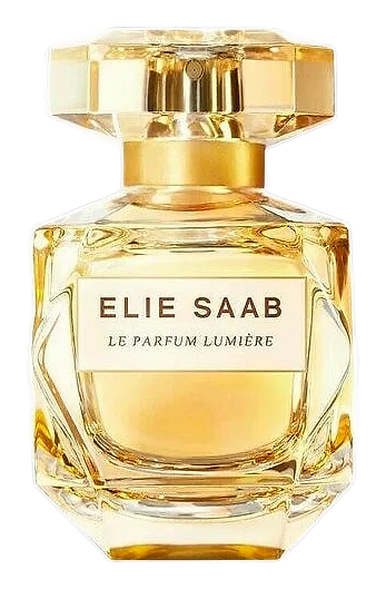 Le Lumiere by Elie Saab