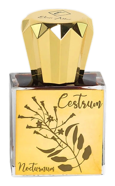 Cestrum Nocturnum by Elixir Attar