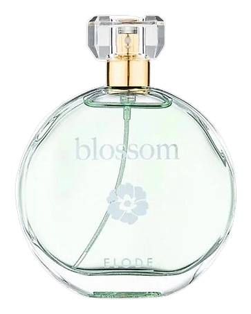 Blossom by Elode