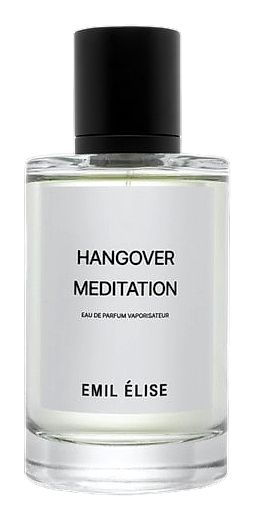 Hangover Meditation by Emil Elise