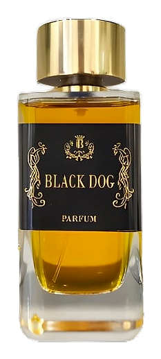 Black Dog by Enrico Buccella