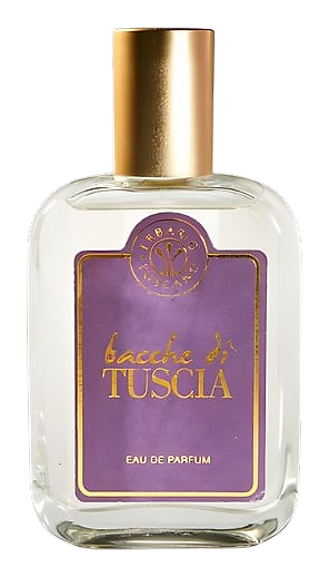 Bacche di Tuscia by Erbario Toscano