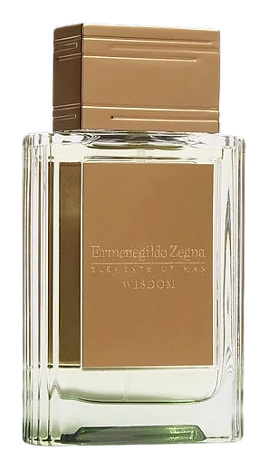 Wisdom by Ermenegildo Zegna