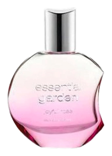 Essential Garden Joyful Rose