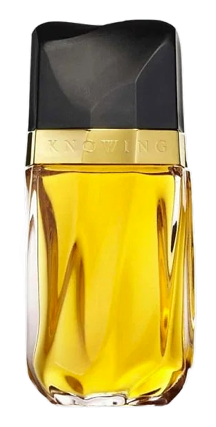 Knowing (Eau de Toilette) by Estée Lauder – Eau de Parfum