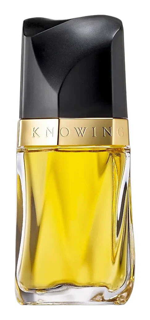 Knowing by Estée Lauder