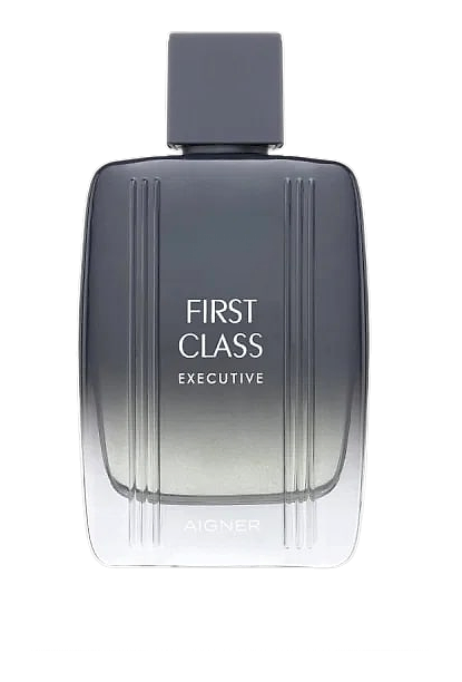 Aigner First Class Executive by Etienne Aigner