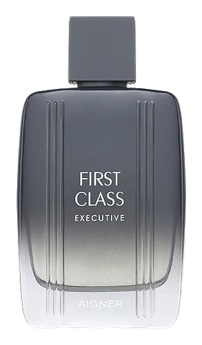 First Class Executive by Etienne Aigner