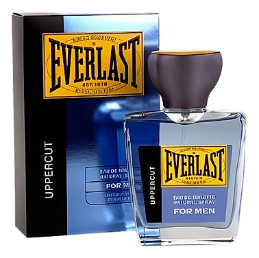 Uppercut by Everlast
