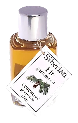 Siberian Fir