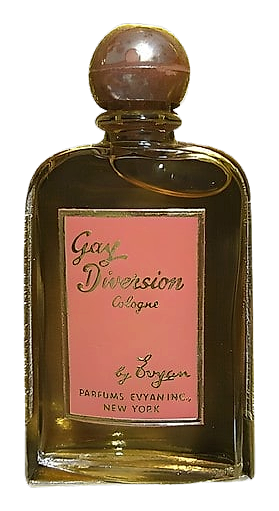 Gay Diversion by Evyan